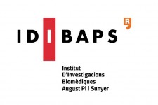 IDIBAPS